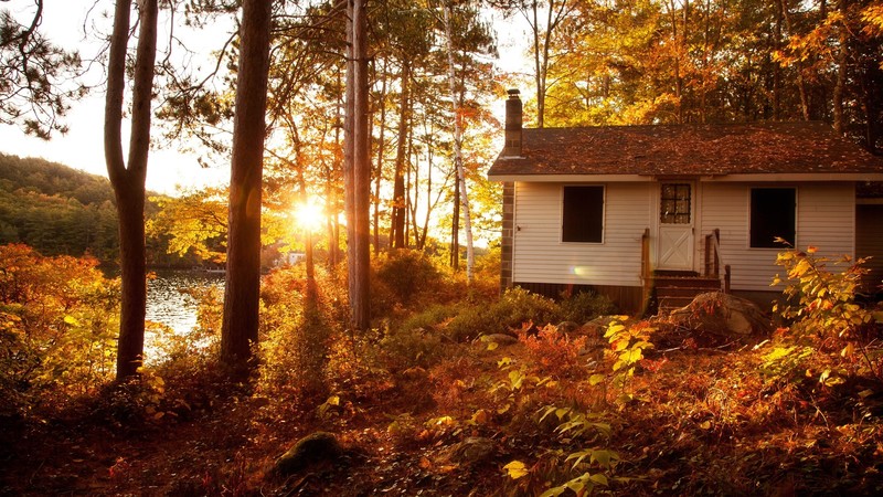 house, trees, plants, sunlight, fall, sunset, river, forest, clear sky