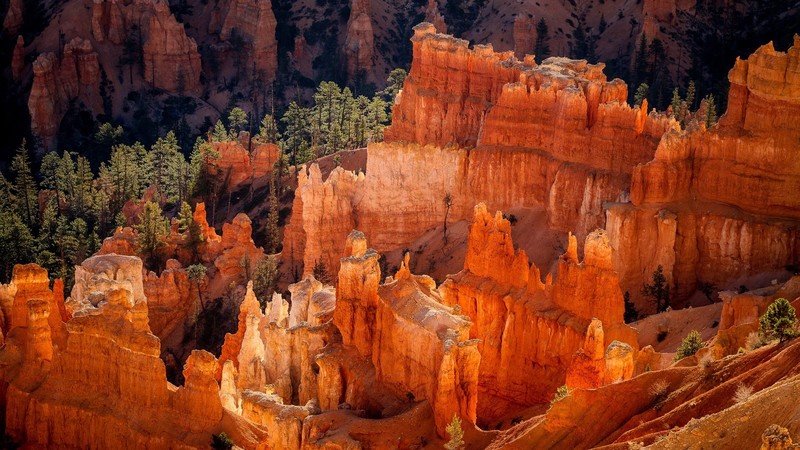USA, Utah, National Park Bryce Canyon, rocks, trees, nature, daylight, landscape