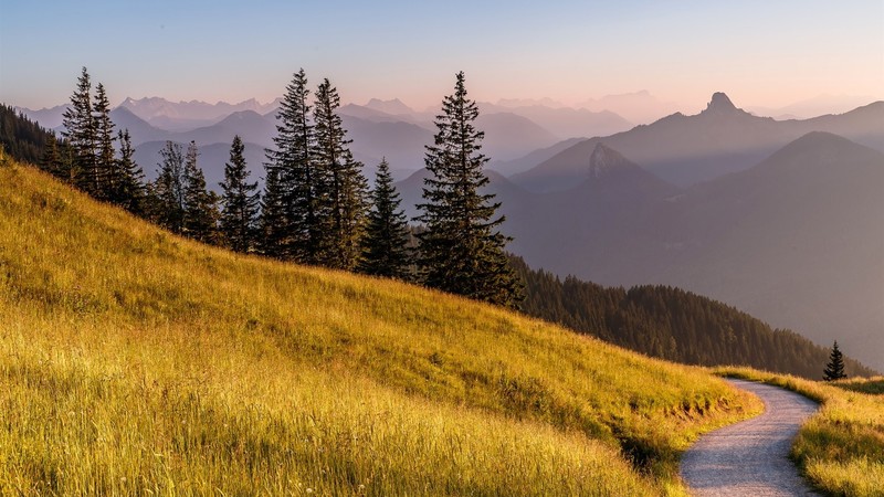 mountains, hills, grass, road, nature, forest, trees