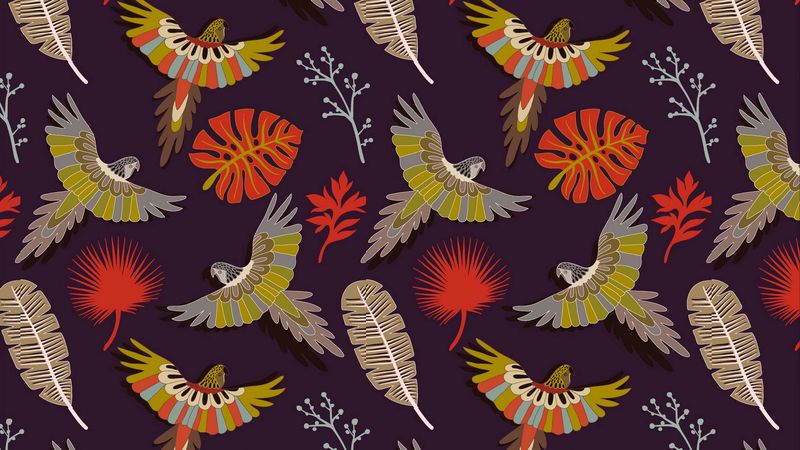 parrots, birds, feathers, colorful, vector, pattern, 4k