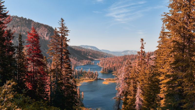 mountains, lake, landscape, needles, fir, 4k