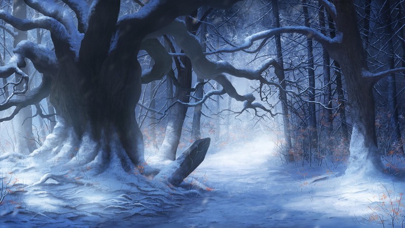 dark, digital, winter, snow, forest