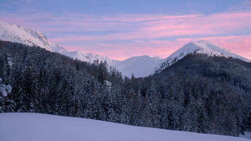 mountains, snow, winter, snowy, trees, mountain landscape, switzerland, 4k