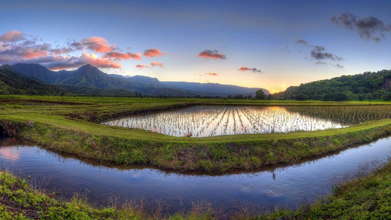 nature, landscape, farm, mountains, water, forest, trees, clouds, sky, Hawaii, USA