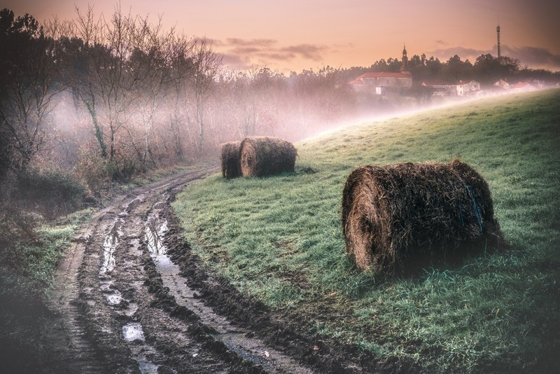 outdoors, mud, dirt road, landscape, mist, field, hay bales, nature, dirt, grass, morning