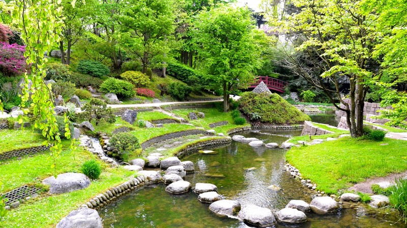 nature, stream, stones, trees, grass, plants