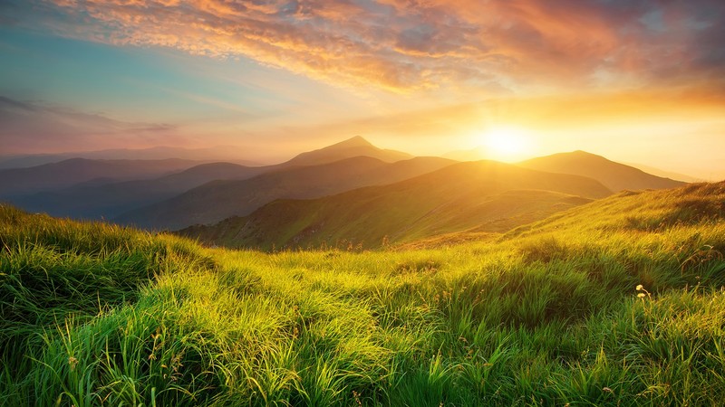 mountains, landscape, nature, clouds, sky, grass, sunrise, flowers, mist, Sun