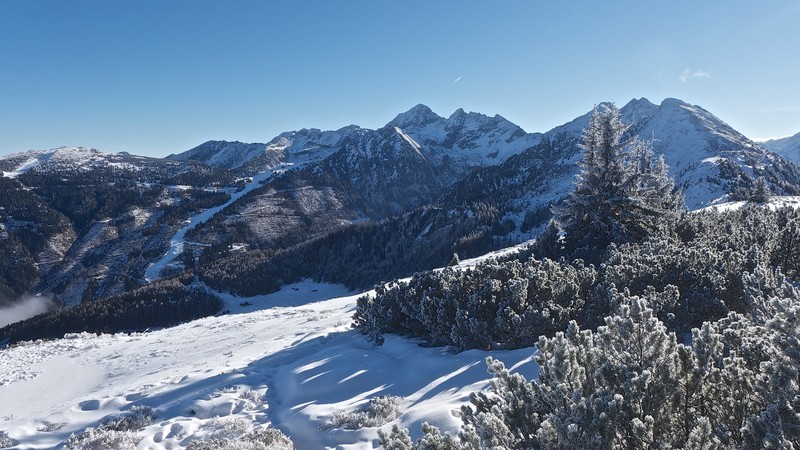 snow, sky, trees, forest, clear sky, winter, Austria