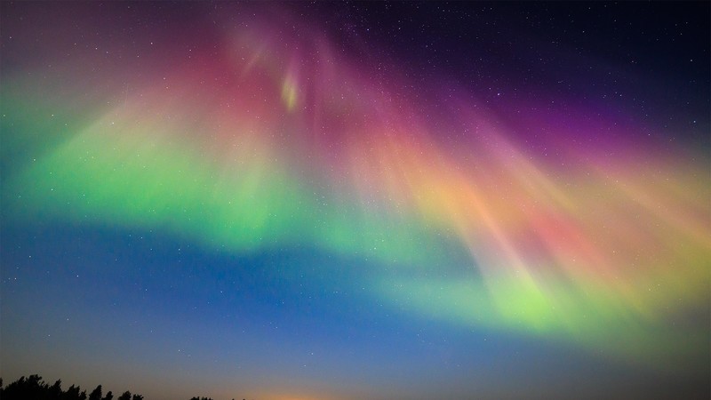 sky, stars, trees, night, aurorae, Finland