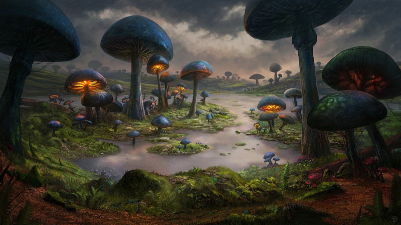 swamp, landscape, mushroom, glowing, grass, moss, rain, wind, overcast, blue, water