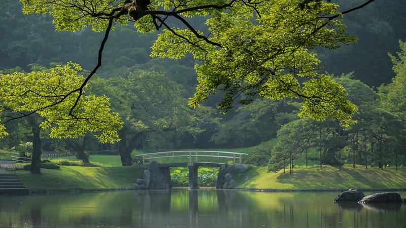 trees, stairs, bridge, leaves, grass, lake, forest, reflection, Japan, Tokyo