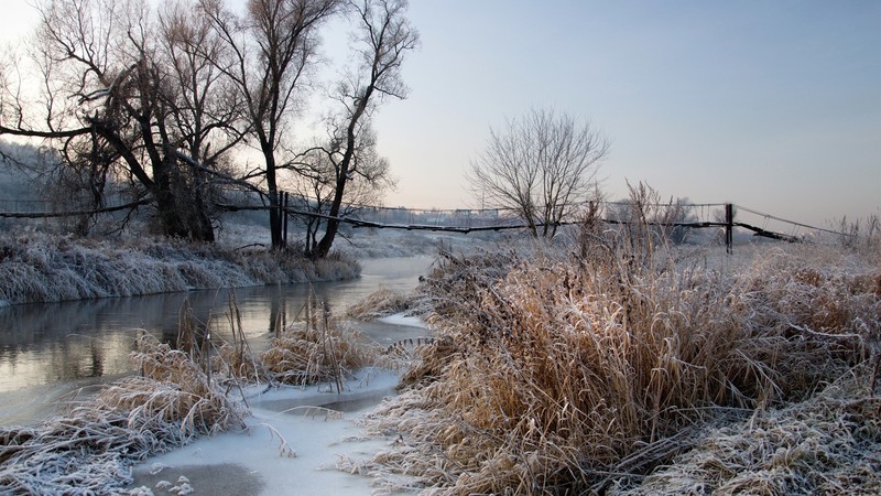 winter, snow, plants, nature, clear sky, trees, river, water, bridge, ice, frost