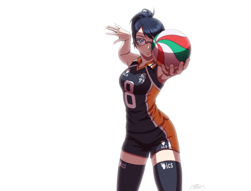 Haikyuu, Haikyuu!!, balls, anime girls, anime, white background, blue hair, sport, Kiyoko Shimizu, Shimizu Kiyoko