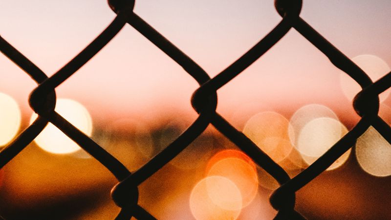 mesh, glare, bokeh, blur, light, macro, 4k