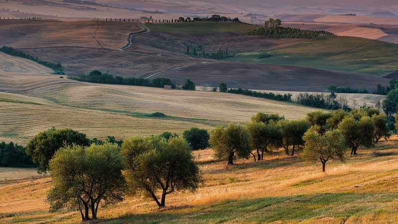 nature, landscape, trees, field, grass, house, Tuscany, Italy, hills