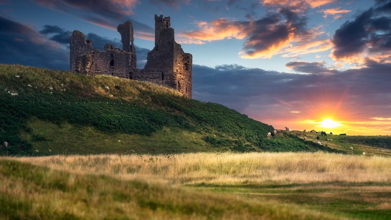 nature, landscape, hills, sheep, cow, clouds, grass, field, rocks, architecture, sunset, Sun, Scotland, UK, Ardvreck Castle