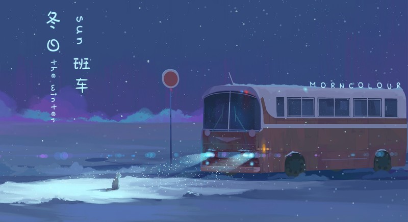 buses, cats, night, night sky
