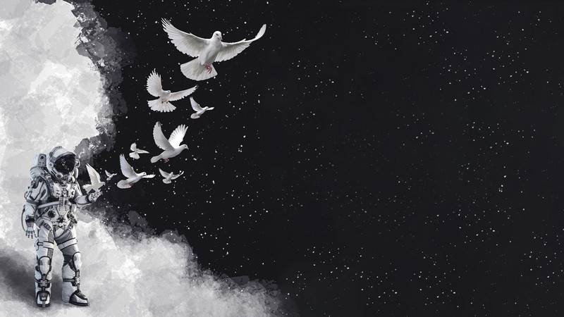 digital art, astronaut, artwork, space, dove, space art, birds, animals, sky