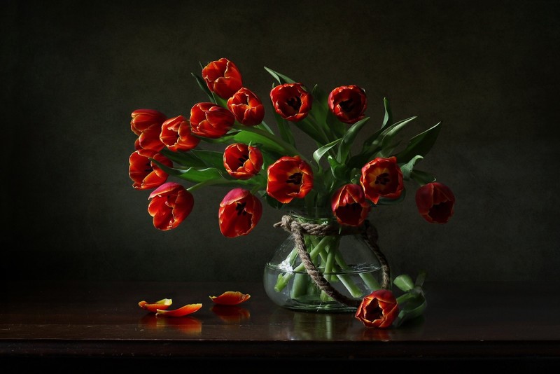 tulips, flowers, still life, plants