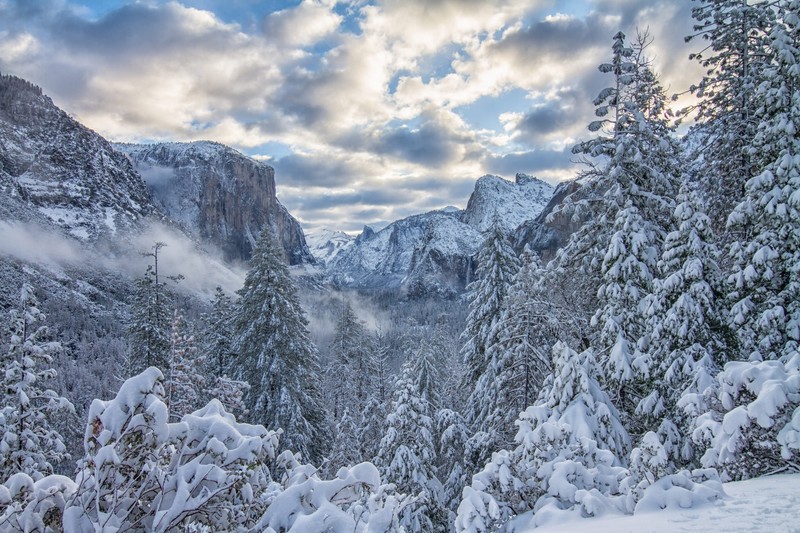 USA, Sierra Nevada, winter, snow, cold, nature, mountains, Yosemite National Park