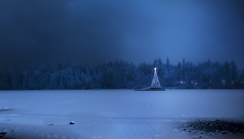 Christmas, dark, landscape, winter, snow