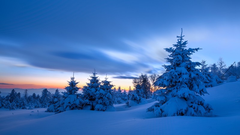 snow, clouds, sky, sunset, mountains, trees, spruce, winter, China, nature, landscape