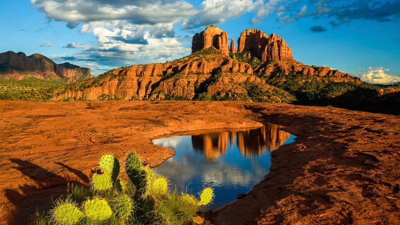 nature, landscape, clouds, sky, pond, cactus, plants, rocks, trees, sunset, shadow, canyon, sandstone, Cathedral Rock, Arizona, USA