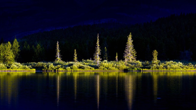 trees, sunlight, water, water ripples, mountains, plants, forest, Swiftcurrent Lake, Glacier National Park, Montana, USA