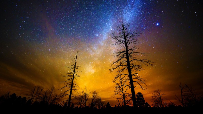 landscape, nature, trees, fall, stars, Milky Way, night, Grand Canyon National Park, Arizona, USA