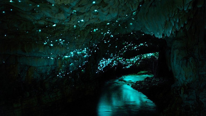 cave, water, night, Waitomo Glowworm Caves, New Zealand, turquoise