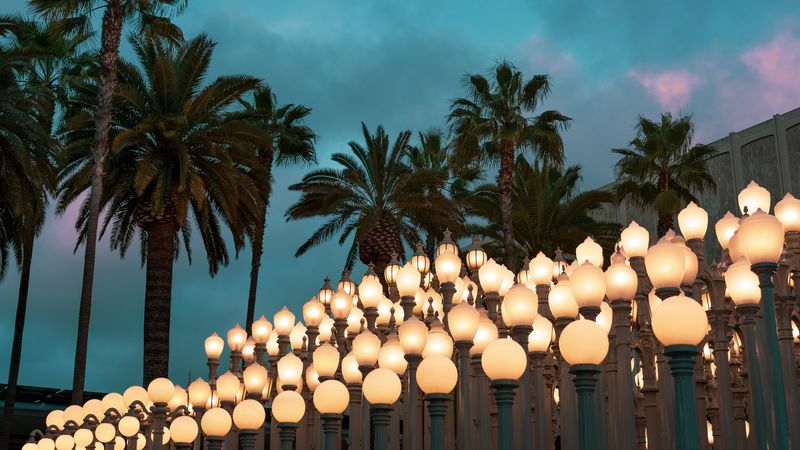 palm trees, lights, sky, twilight, clouds, 4k