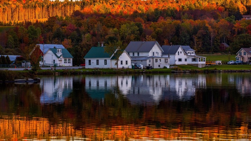 house, forest, reflection, water, trees, grass, nature, landscape, fall, lake
