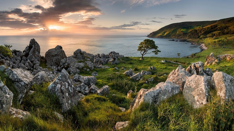 grass, nature, landscape, clouds, rocks, horizon, trees, mountains, sky, Sun, Murlough Bay, UK