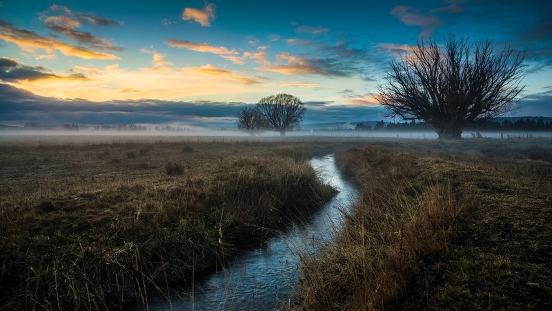 landscape, nature, sky, clouds, stream, grass, trees, mist, field, water