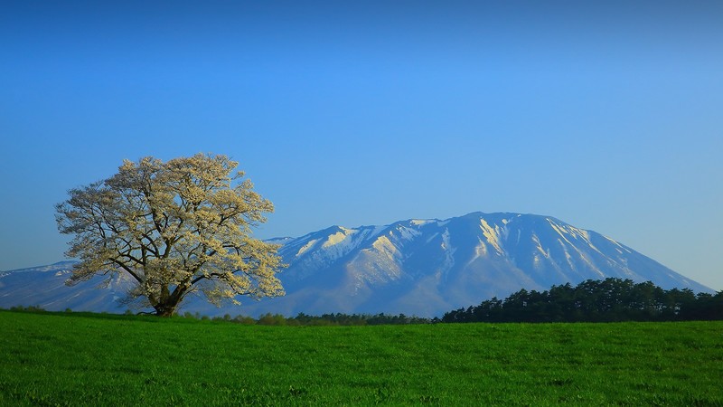 grass, nature, landscape, clear sky, mountains, trees, field, spring, Yoshino, cherries (food), Tōhoku, Japan