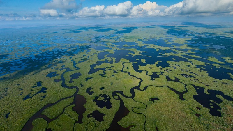 aerial view, drone photo, landscape, nature, wetland, Everglades National Park, Florida, USA, forest, clouds, horizon