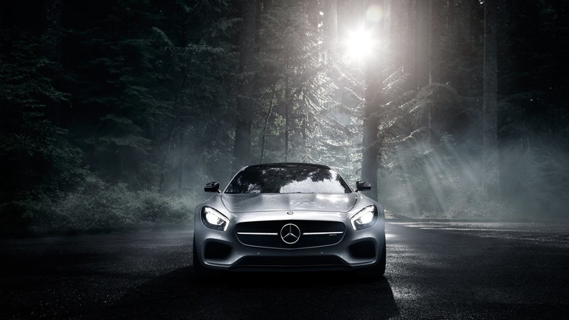 car, vehicle, frontal view, Mercedes Benz, forest, asphalt, trees, sunlight, silver cars, nature