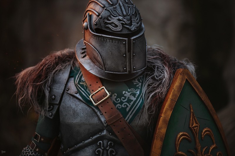 Dark Souls, knight, shield