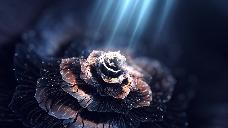 artwork, lights, plants, flowers