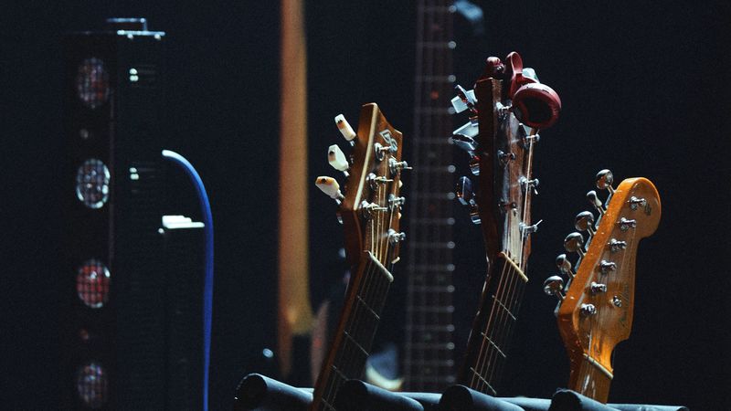 guitars, musical strings, guitar vultures, strings, 4k