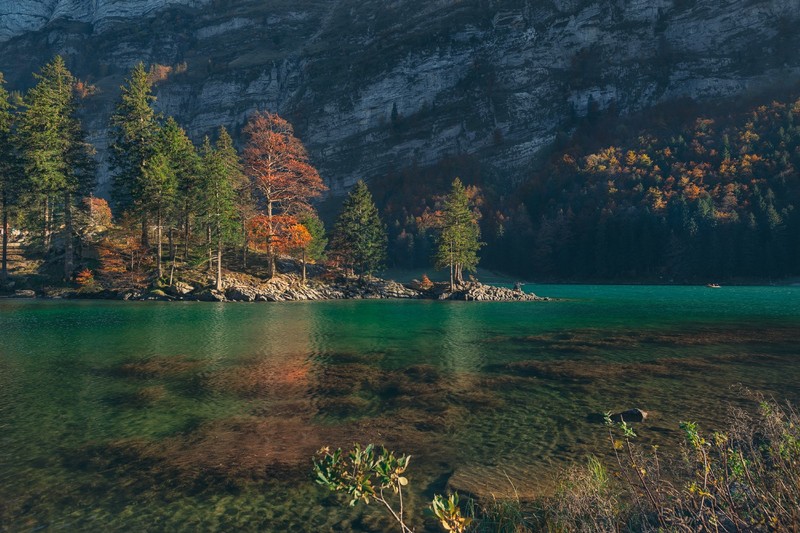 trees, river, fall, mountains, nature, rocks, water ripples, plants