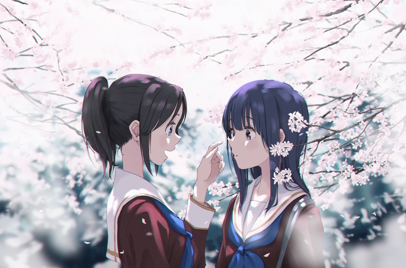anime, anime girls, Liz to Aoi Tori, Yoroizuka Mizore (Hibike! Euphonium), Kasaki Nozomi, Sakura blossom, school uniform
