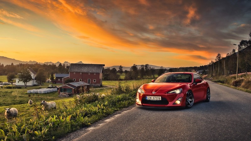 Toyota, red cars, road, house, animals, sky, clouds, trees, grass, landscape, numbers, sheep, street, vehicle, vehicle front, mountains, plants