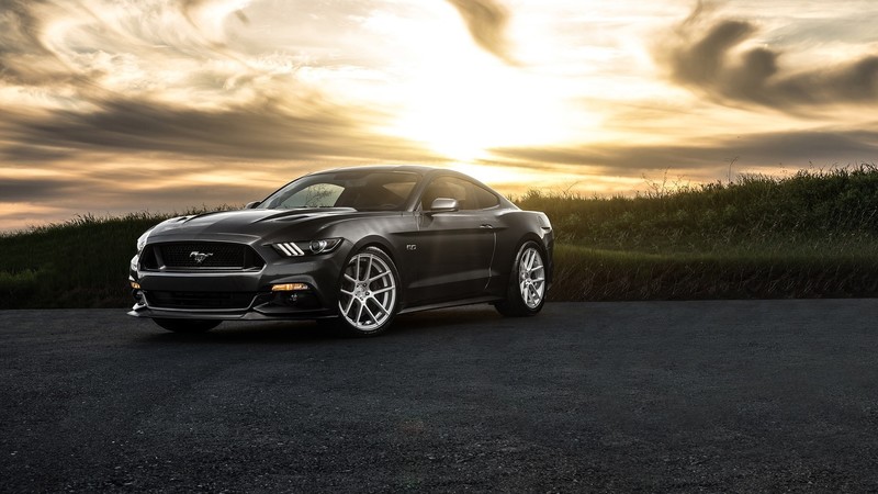 Ford Mustang, Sun, clouds, plants, car, Ford, vehicle