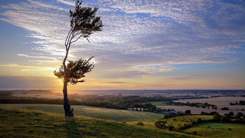 landscape, sunrise, nature, clouds, sky, trees, field