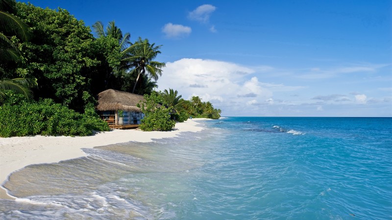 beach, house, palm trees, sky blue, clouds, waves, ocean view, sand, water, nature, landscape