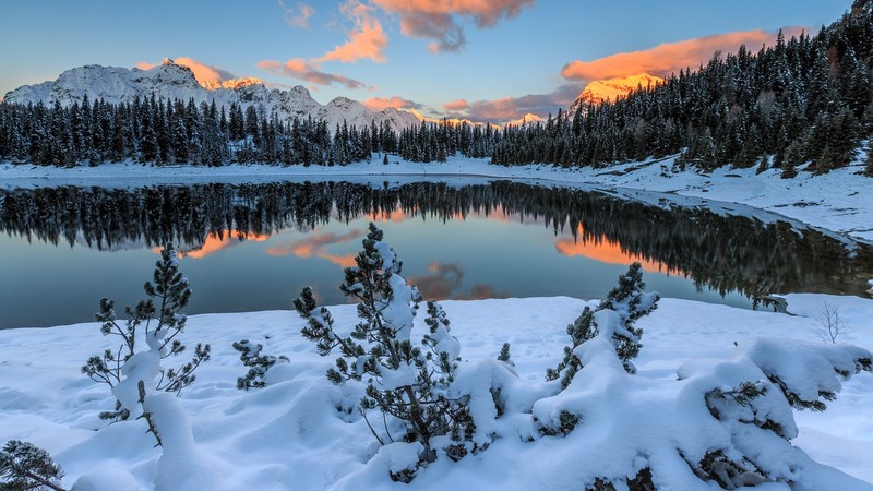forest, nature, landscape, winter, lake, snow, snowy mountain, sky, clouds, reflection, Italy, Lake Palü, plants