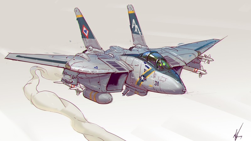 military, military aircraft, F-14 Tomcat