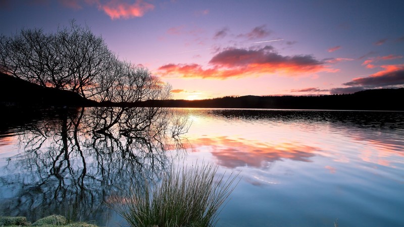 nature, landscape, lake, water, sunset, plants, sky, clouds
