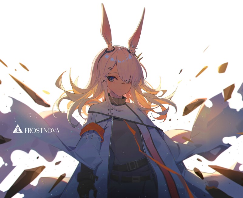 anime, anime girls, digital art, artwork, 2D, portrait, Arknights, Frostnova(Arknights)